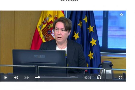 Comisión de Educación, Formación Profesional y Deportes Sesión nº 1420/05/2025. Pilar Calvo